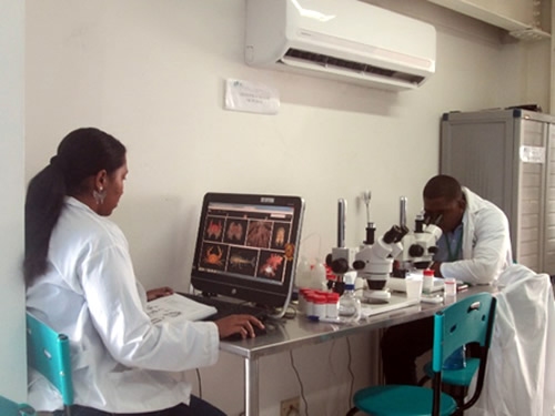Laboratorio de Hidrobiologa