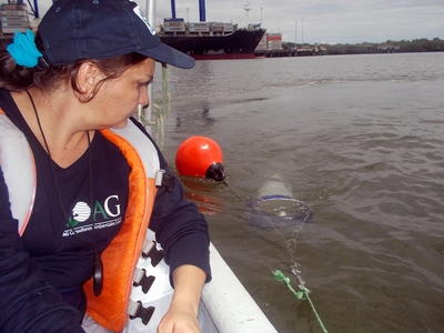 Impacto Ambiental